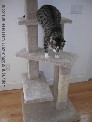 Cat Condo Plans Directions 5 Detail 5