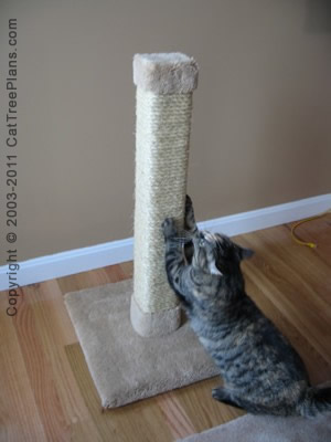 cat tree plan Cat Scratcher Stop Cat Scratching 2 Detail 1