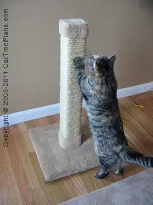 Cat Scratcher Stop Cat Scratching 2 Detail 3