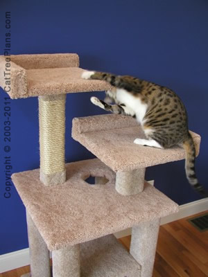 Cat Tower Plans 2 Detail 6