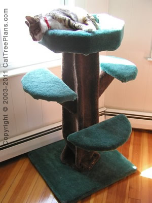 Cat Tree Plan #3 Cat Trees That Look Like Trees | Cat Tree Plans