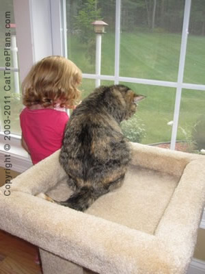 Cat Window Bed Plans Plan 9 Detail 2