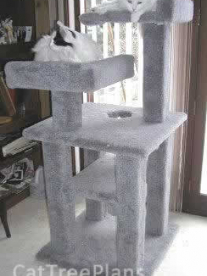 how to make a cat tree Cat Tree Plans Customer 006