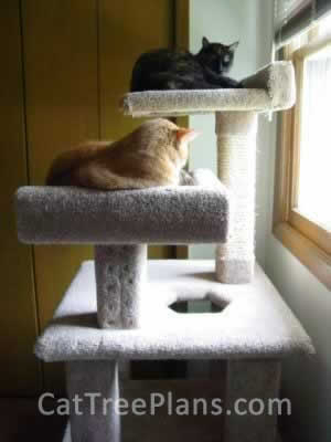 how to make a cat tree Cat Tree Plans Customer 010