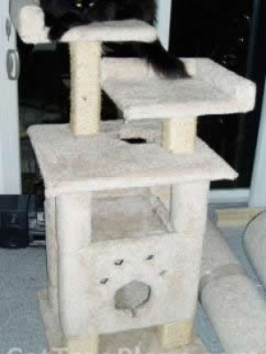 how to make a cat tree Cat Tree Plans Customer 014