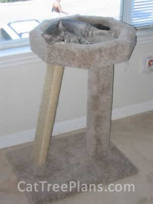 how to make a cat tree Cat Tree Plans Customer 018