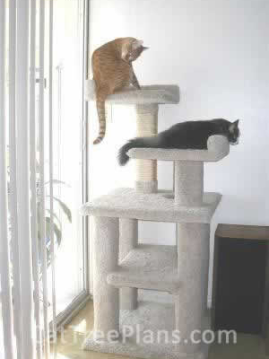 how to make a cat tree Cat Tree Plans Customer 019