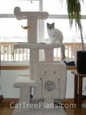 how to make a cat tree Cat Tree Plans Customer 021