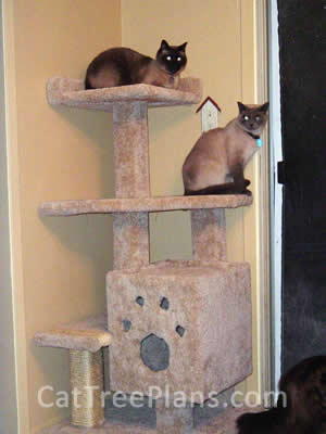 how to make a cat tree Cat Tree Plans Customer 022