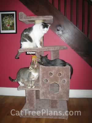 how to make a cat tree Cat Tree Plans Customer 024