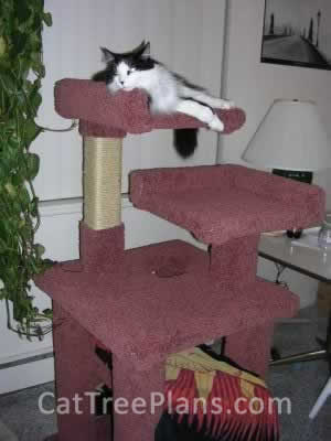 how to make a cat tree Cat Tree Plans Customer 028