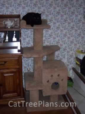 how to make a cat tree Cat Tree Plans Customer 034