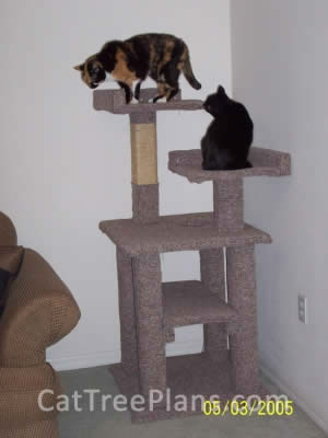 how to make a cat tree Cat Tree Plans Customer 035