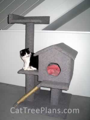 how to make a cat tree Cat Tree Plans Customer 049