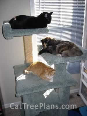 how to make a cat tree Cat Tree Plans Customer 055