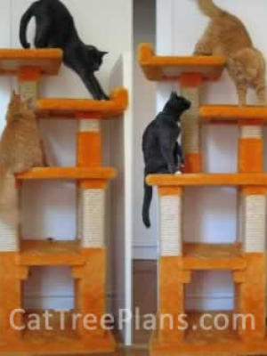 how to make a cat tree Cat Tree Plans Customer 058