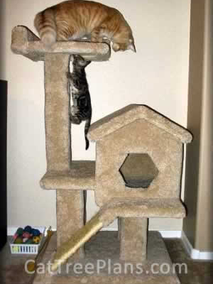 how to make a cat tree Cat Tree Plans Customer 059