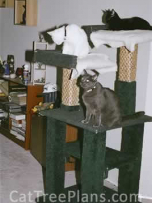 how to make a cat tree Cat Tree Plans Customer 069