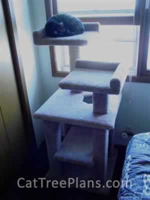 how to make a cat tree Cat Tree Plans Customer 072