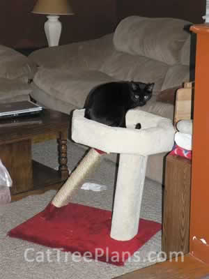 how to make a cat tree Cat Tree Plans Customer 073