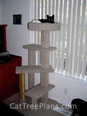 how to make a cat tree Cat Tree Plans Customer 079