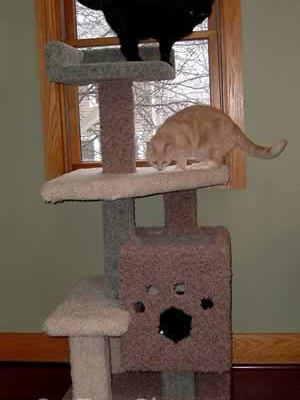 how to make a cat tree Cat Tree Plans Customer 085