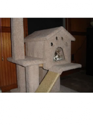 how to make a cat tree Cat Tree Plans Customer 086