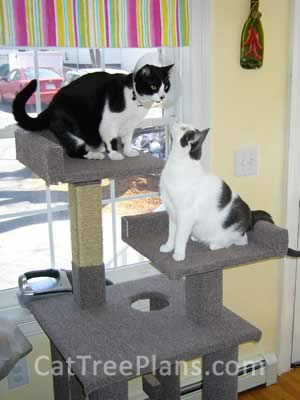 how to make a cat tree Cat Tree Plans Customer 090
