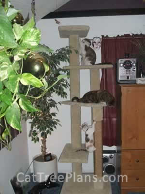 how to make a cat tree Cat Tree Plans Customer 095