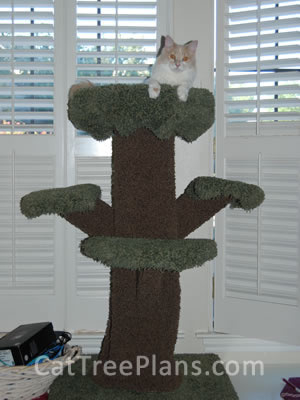 how to make a cat tree Cat Tree Plans Customer 098