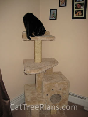 how to make a cat tree Cat Tree Plans Customer 113