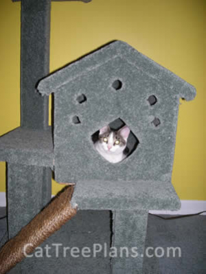 how to make a cat tree Cat Tree Plans Customer 114