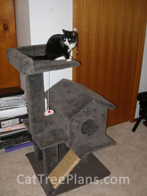 how to make a cat tree Cat Tree Plans Customer 115