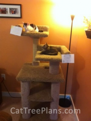 how to make a cat tree Cat Tree Plans Customer 116