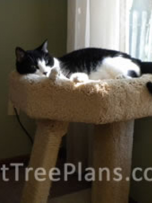 how to make a cat tree Cat Tree Plans Customer 117