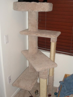 how to make a cat tree Cat Tree Plans Customer 120