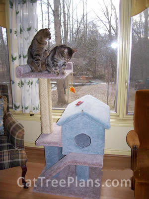 how to make a cat tree Cat Tree Plans Customer 122