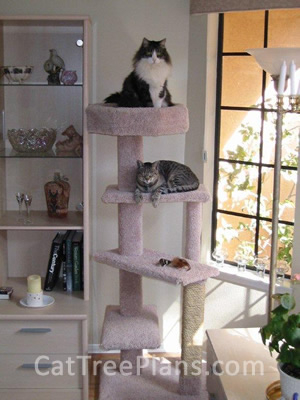 how to make a cat tree Cat Tree Plans Customer 123