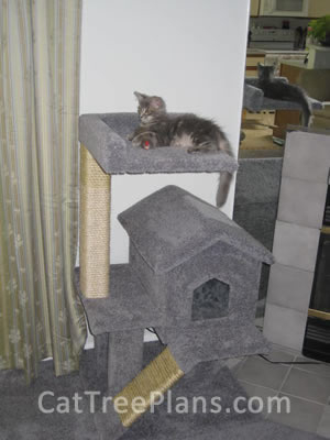 how to make a cat tree Cat Tree Plans Customer 126
