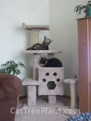 how to make a cat tree Cat Tree Plans Customer 128