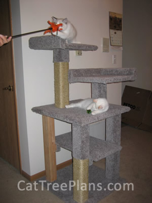 how to make a cat tree Cat Tree Plans Customer 130