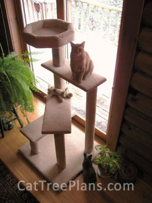 how to make a cat tree Cat Tree Plans Customer 135