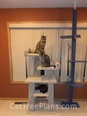 how to make a cat tree Cat Tree Plans Customer 141