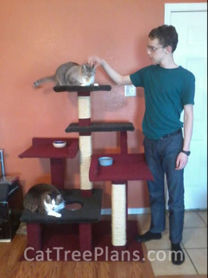 how to make a cat tree Cat Tree Plans Customer 143