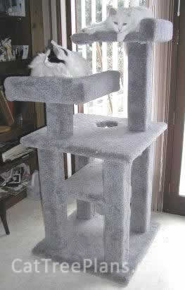 Cat Tree Plans Customer 006