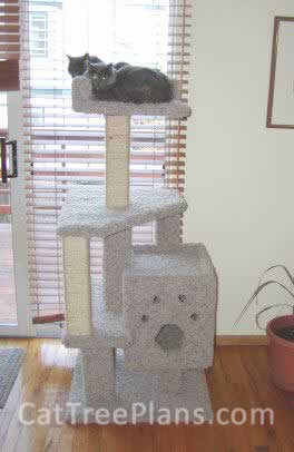 Cat Tree Plans Customer 008