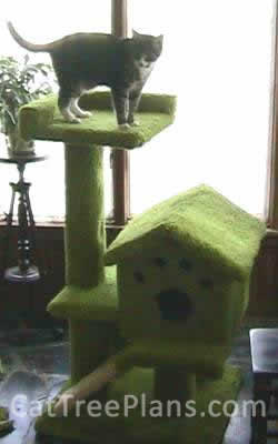 Cat Tree Plans Customer 009