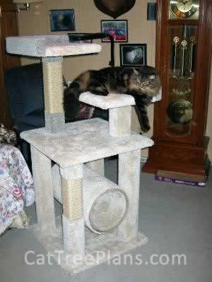 Cat Tree Plans Customer 017