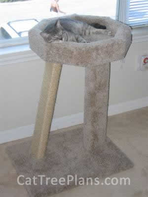 Cat Tree Plans Customer 018