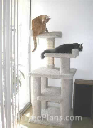 Cat Tree Plans Customer 019